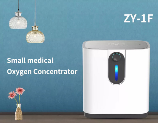 OEM 7 l Portable Oxygen Inhaler Machine Mesin Pernapasan Untuk Penggunaan Di Rumah