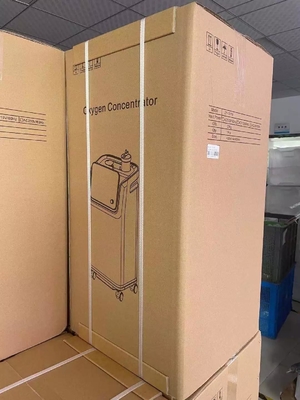 Generator Mesin Oksigen Nebulizer Portabel Penuh Cerdas 10 Liter