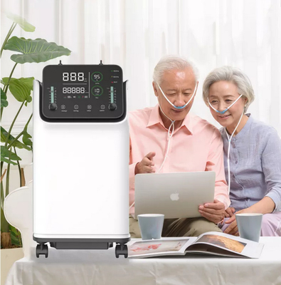 Mesin Konsentrator Oksigen O2 Aliran Ganda 10 L