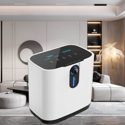 Generator Oksigen Konsentrator O2 Portabel 1 Liter Oxgen Untuk Rumah Sakit